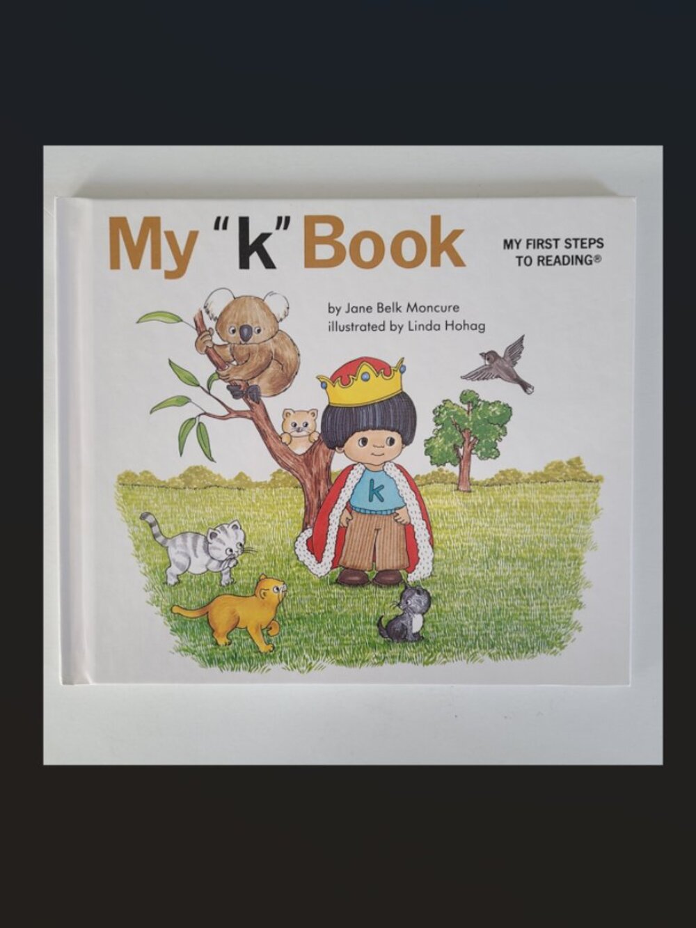 5/$15 Kids Book Moncure My k Book Preschool Early Reading HC Phonics Alphabet